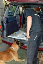 Pies i funkcjonariusz przy samochodzie. W podłodze widoczne papierosy