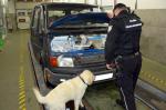 Funkcjonariusz KAS i pies przy otwartej masce samochodu. Pod nią widoczne papierosy