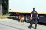 Owczarek belgijski i funkcjonariusz KAS podczas przeszukania samochodu ciężarowego