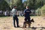 Funkcjonariusze KAS i policji z psami