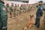 Funkcjonariusz KAS z psem podczas spotkania z licealistami szkoły mundurowej
