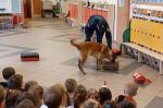 Pokaz umiejętności psa w przedszkolu