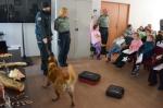 Funkcjonariusz z psem , pokaz psa słuzbowego szuka nielegalnych towarów w skrzynkach