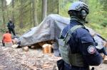 Uzbrojeni funkcjonariusze KAS zabezpieczający teren działań w lesie