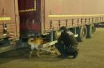 Funkcjonariusz z psem przy ciężarówce